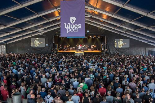 Blues Peer photo